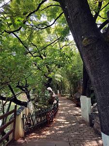 Kunming - Parc Cuihu - 38